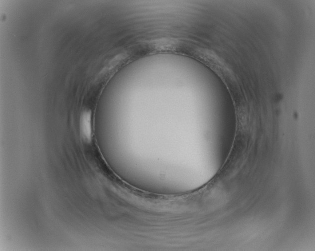 X0000074930028200609011102