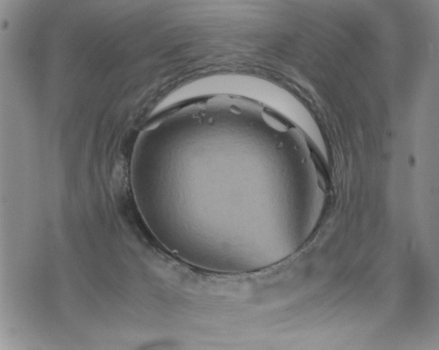 X0000074930029200609011102