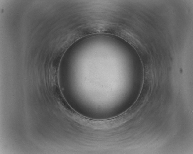 X0000074930030200609011102