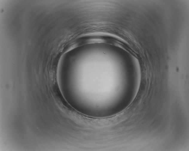 X0000074930031200609011102