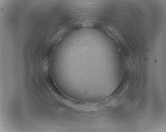 X0000074930032200609011102