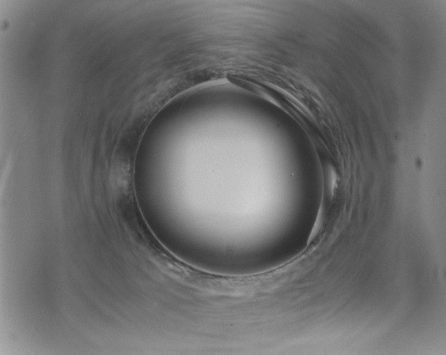 X0000074930033200609011102