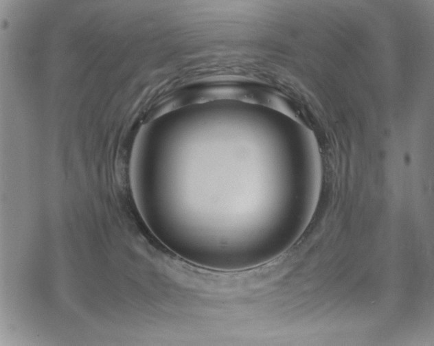 X0000074930035200609011102