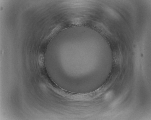 X0000074930036200609011102