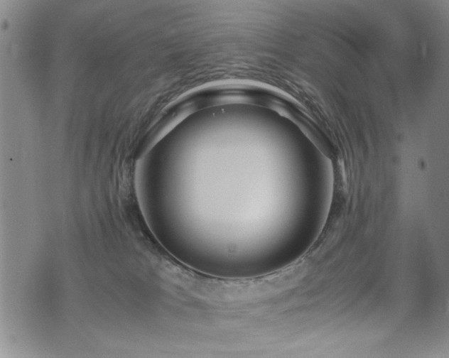 X0000074930037200609011101