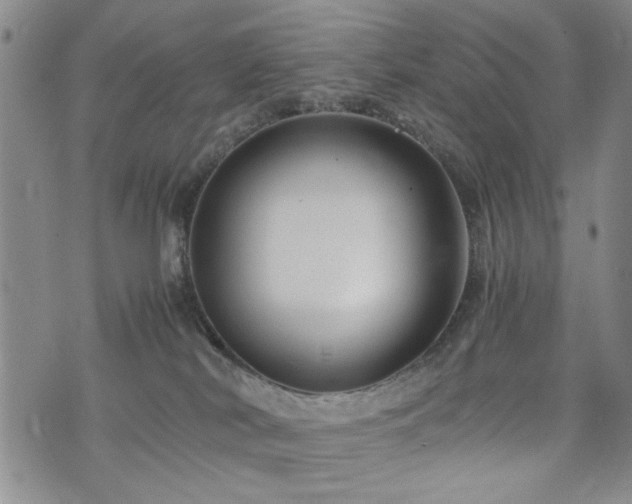 X0000074930038200609011101