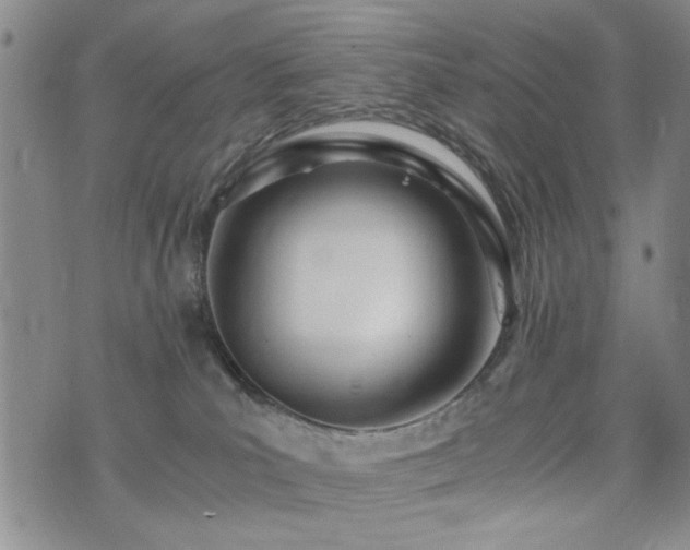 X0000074930039200609011101