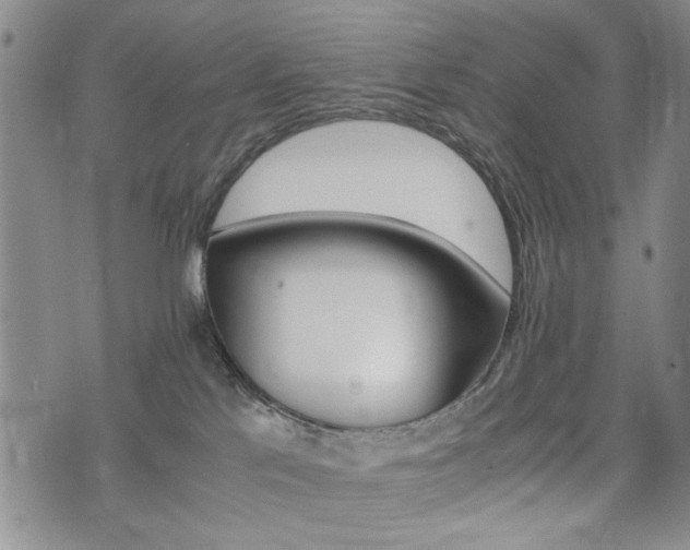 X0000074930041200609011101