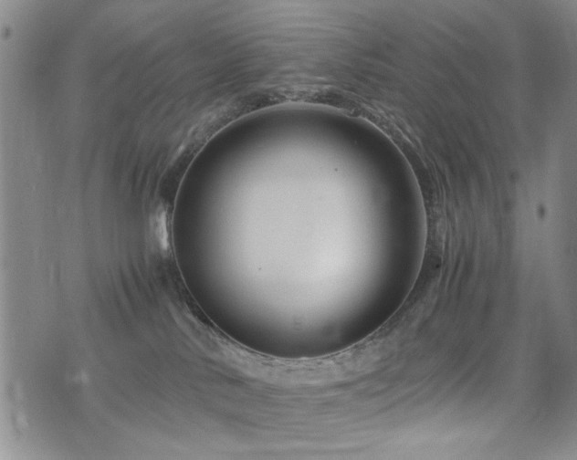 X0000074930042200609011101