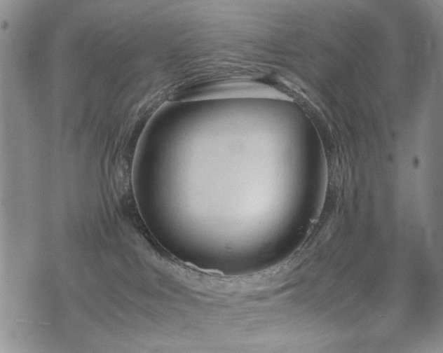 X0000074930043200609011101