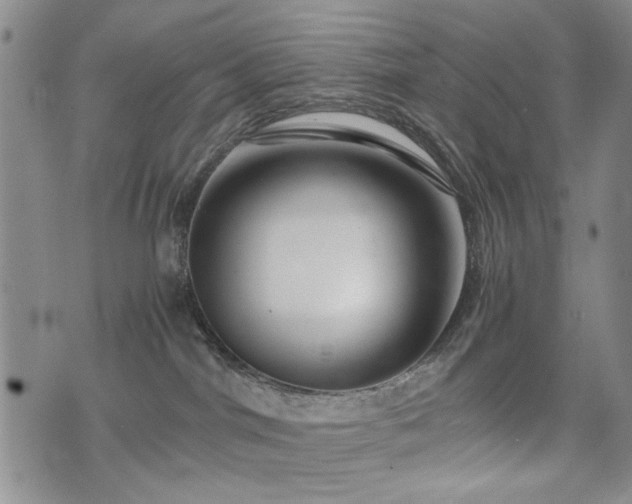 X0000074930044200609011101