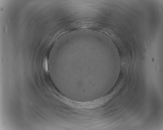 X0000074930046200609011101