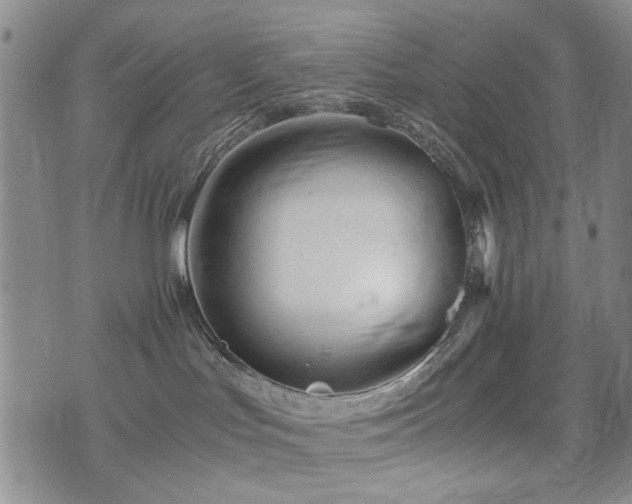 X0000074930047200609011101