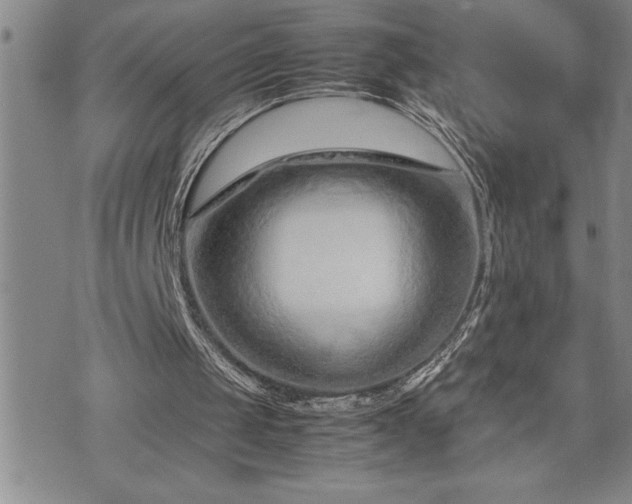 X0000074930049200609011101