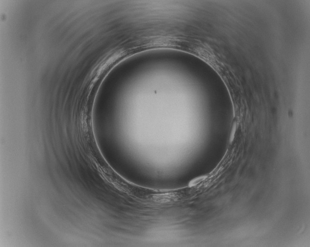 X0000074930050200609011101