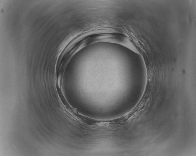 X0000074930052200609011101