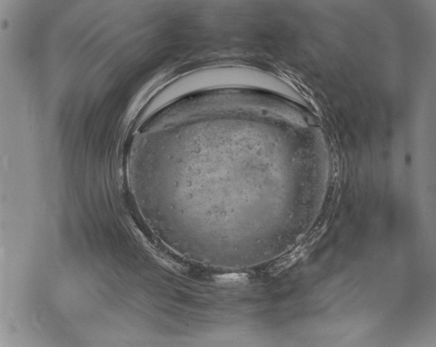 X0000074930053200609011101