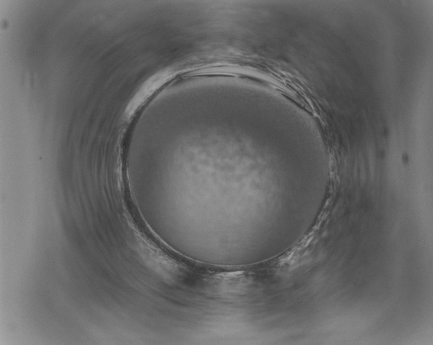 X0000074930054200609011101