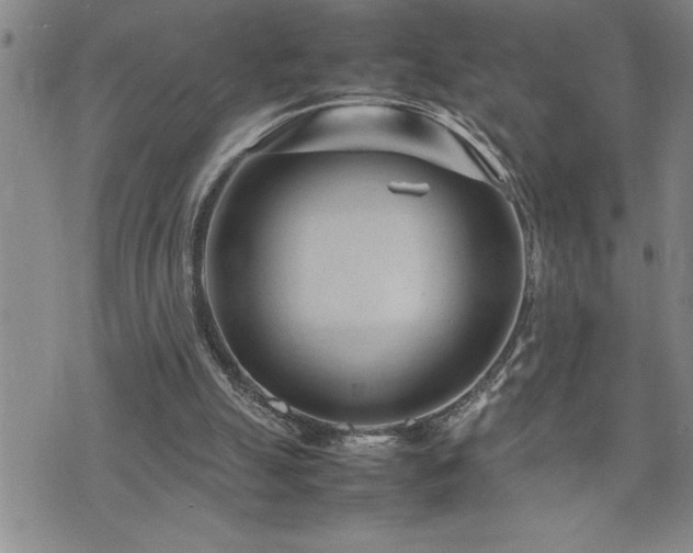 X0000074930055200609011101