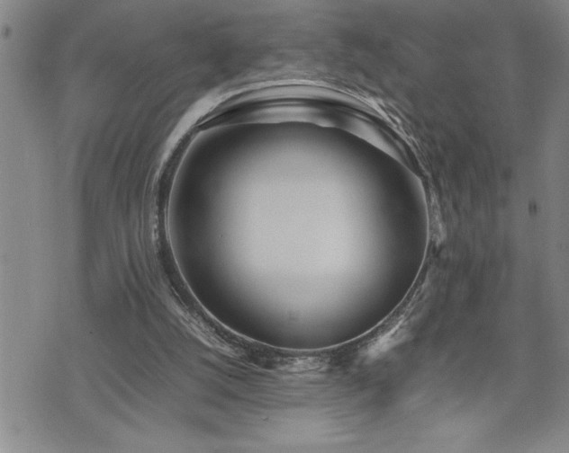 X0000074930056200609011101