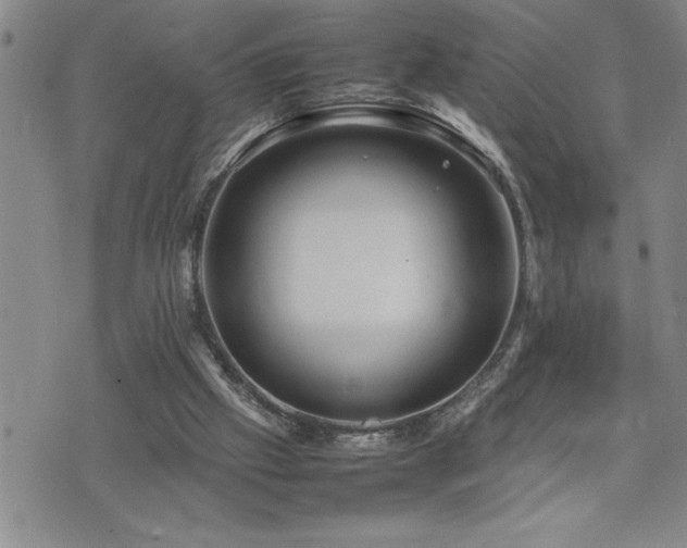 X0000074930057200609011101