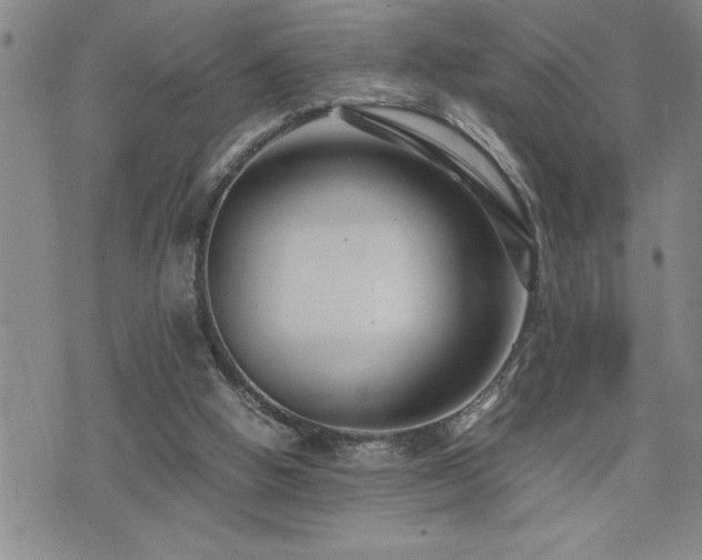 X0000074930058200609011101