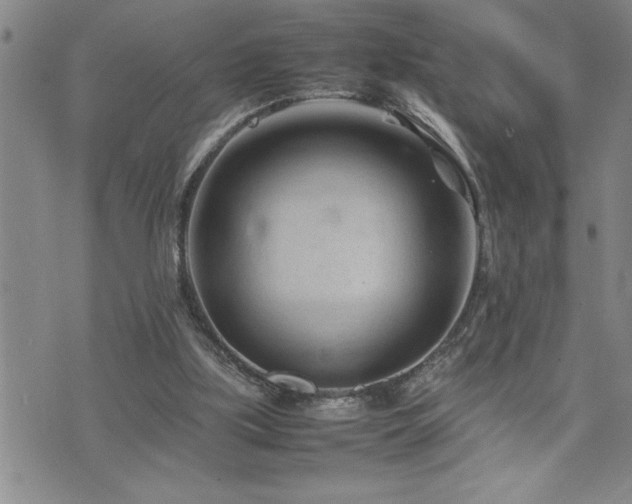 X0000074930059200609011101