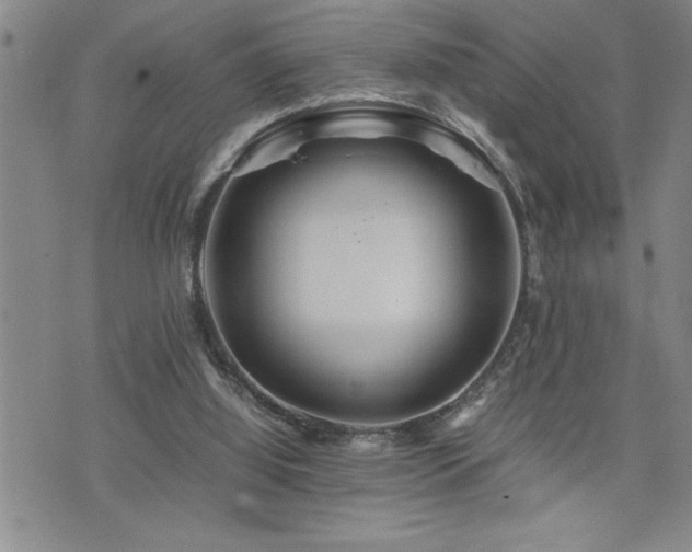 X0000074930060200609011101