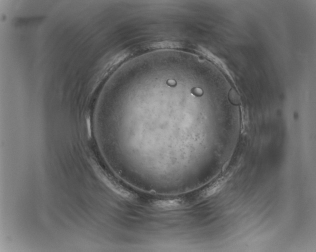 X0000074930061200609011101