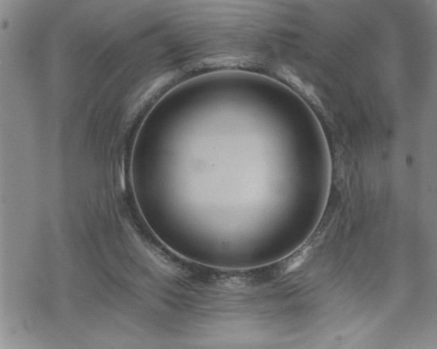 X0000074930062200609011101