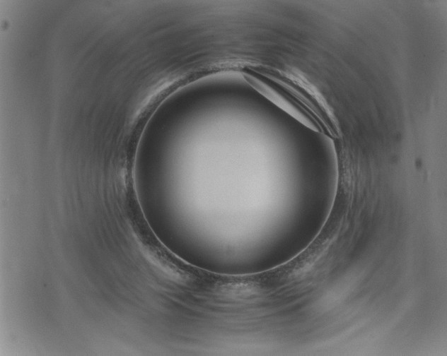 X0000074930063200609011101