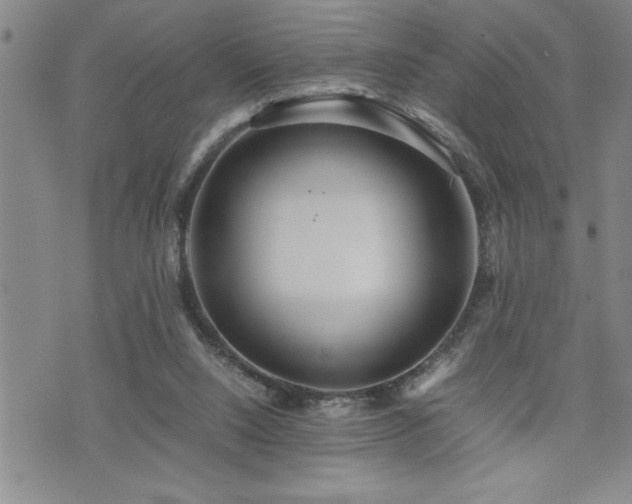 X0000074930064200609011101