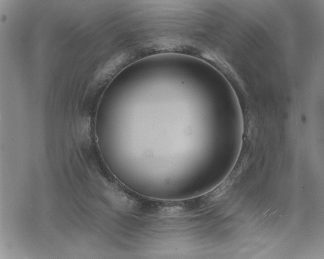 X0000074930066200609011101