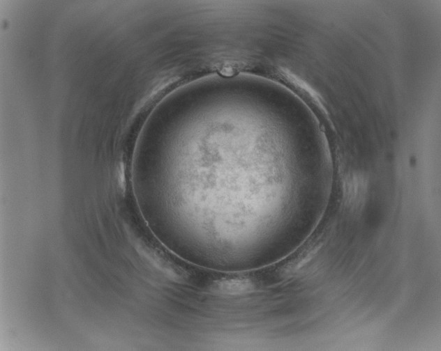 X0000074930067200609011101