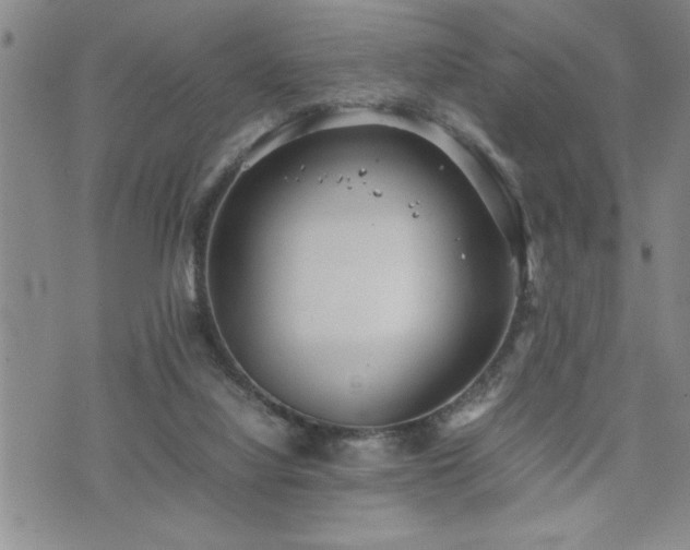 X0000074930068200609011101