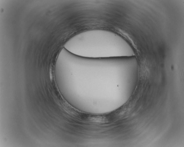 X0000074930069200609011101