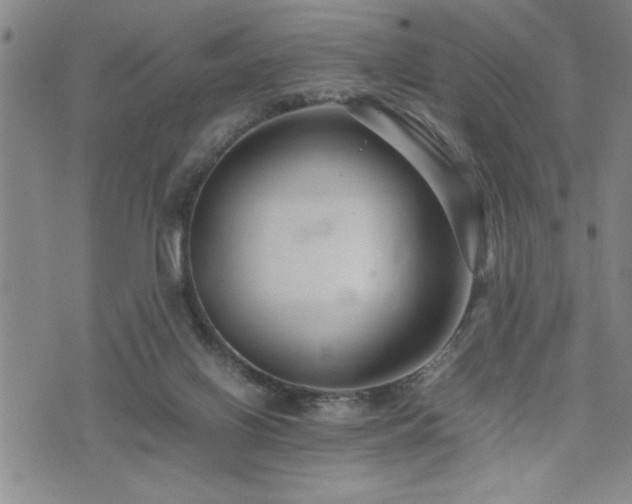 X0000074930070200609011101