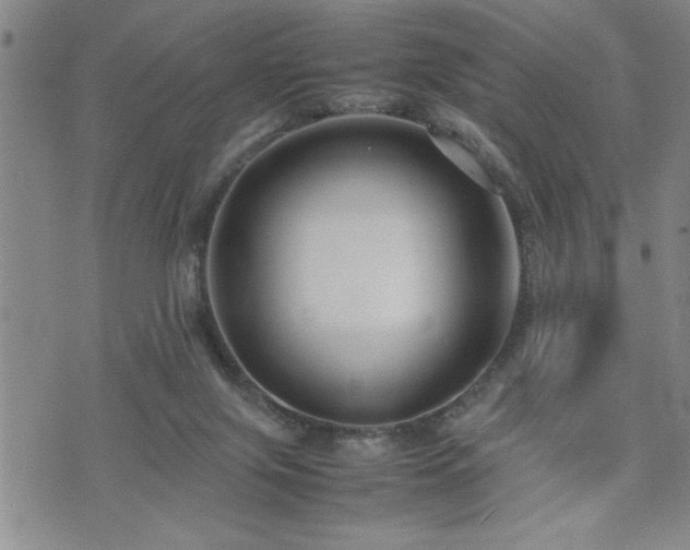 X0000074930071200609011101