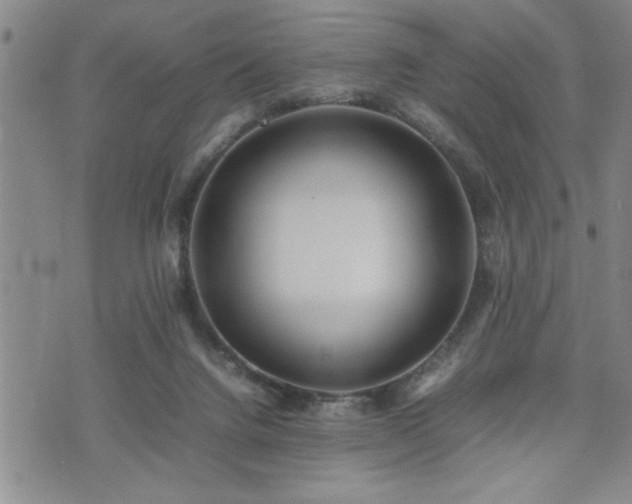 X0000074930072200609011101