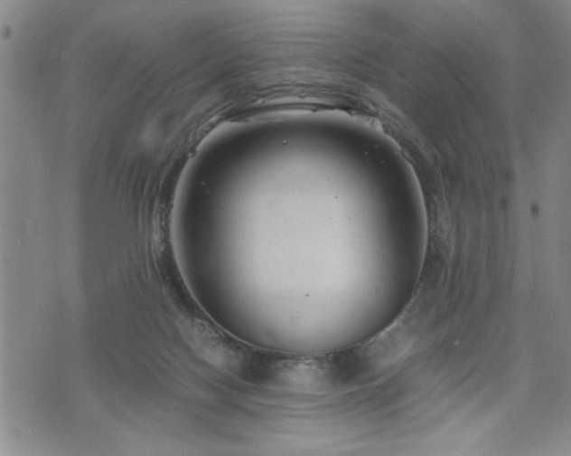 X0000074930074200609011101