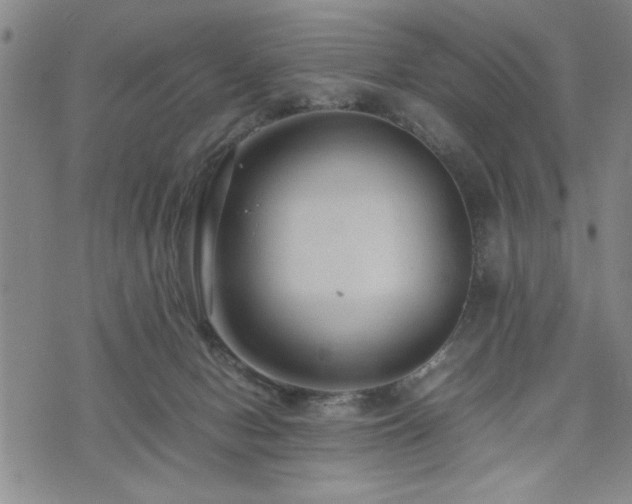 X0000074930078200609011101