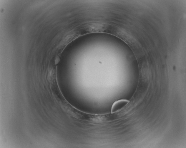 X0000074930079200609011101