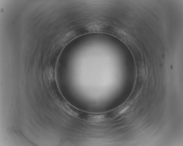 X0000074930081200609011101