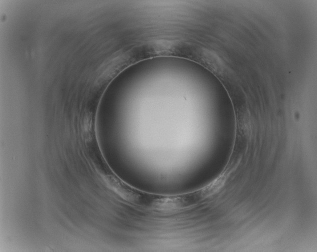 X0000074930082200609011101