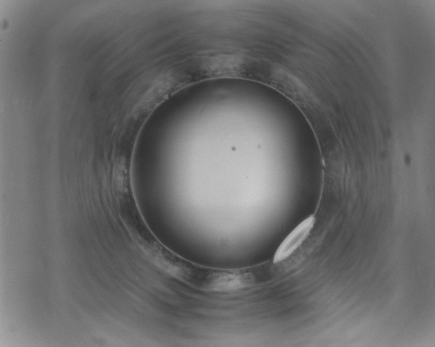 X0000074930083200609011101