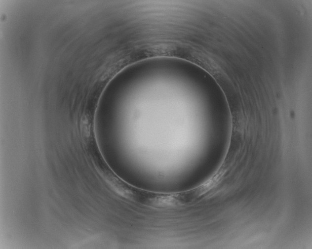 X0000074930086200609011101