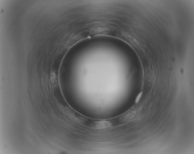 X0000074930087200609011101