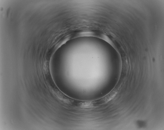 X0000074930088200609011101