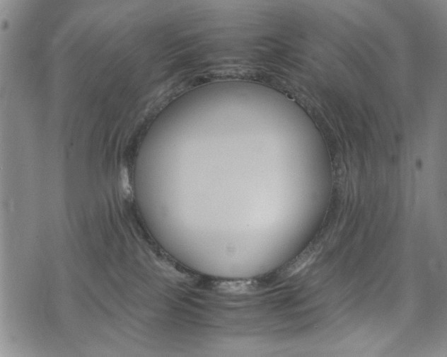 X0000074930089200609011101