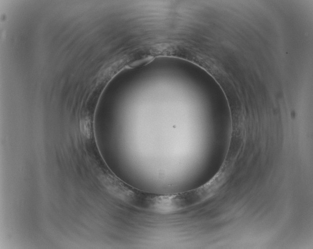 X0000074930090200609011101